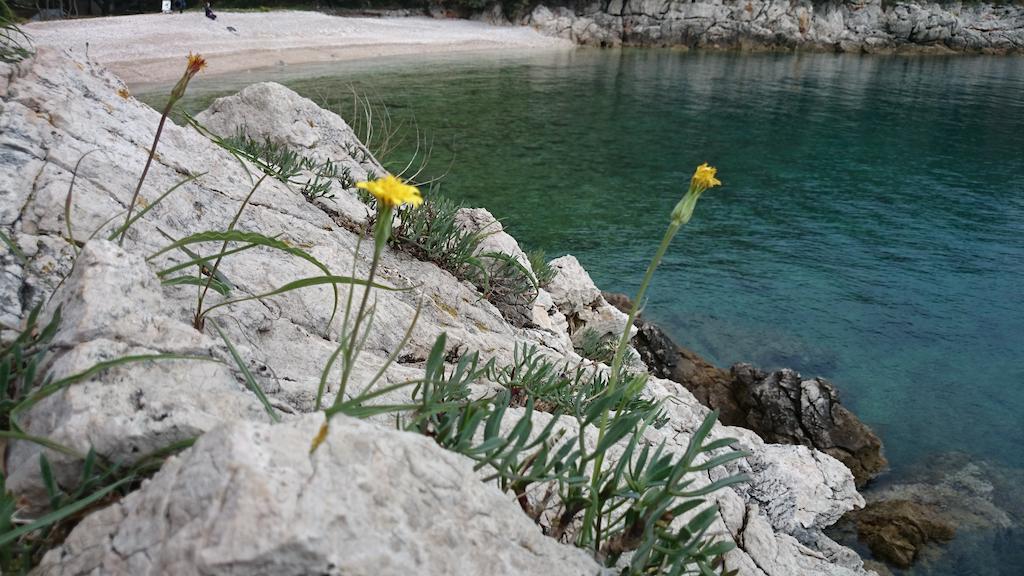 Apartments Plavcic Plomin Luaran gambar
